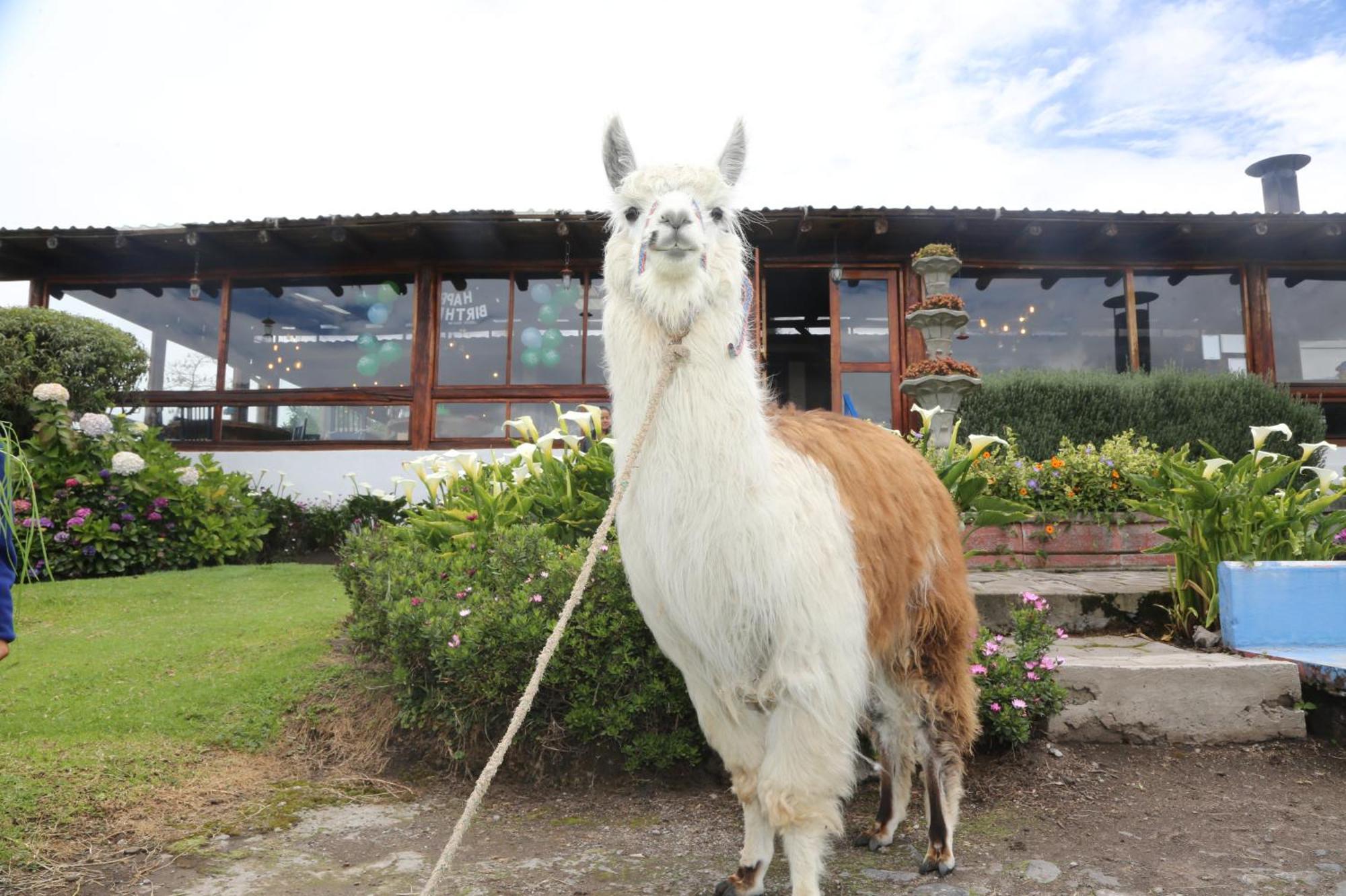 Hacienda El Rejo Villa Machachi Eksteriør bilde