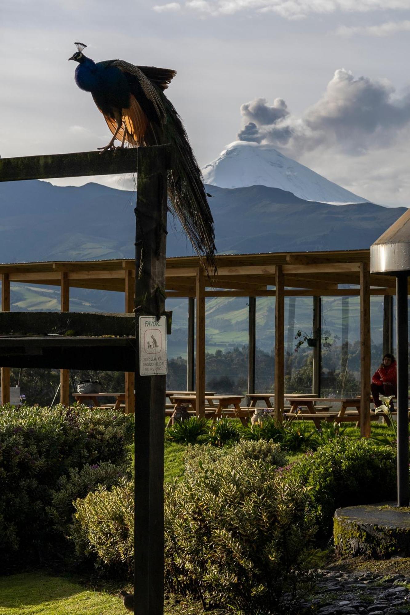 Hacienda El Rejo Villa Machachi Eksteriør bilde